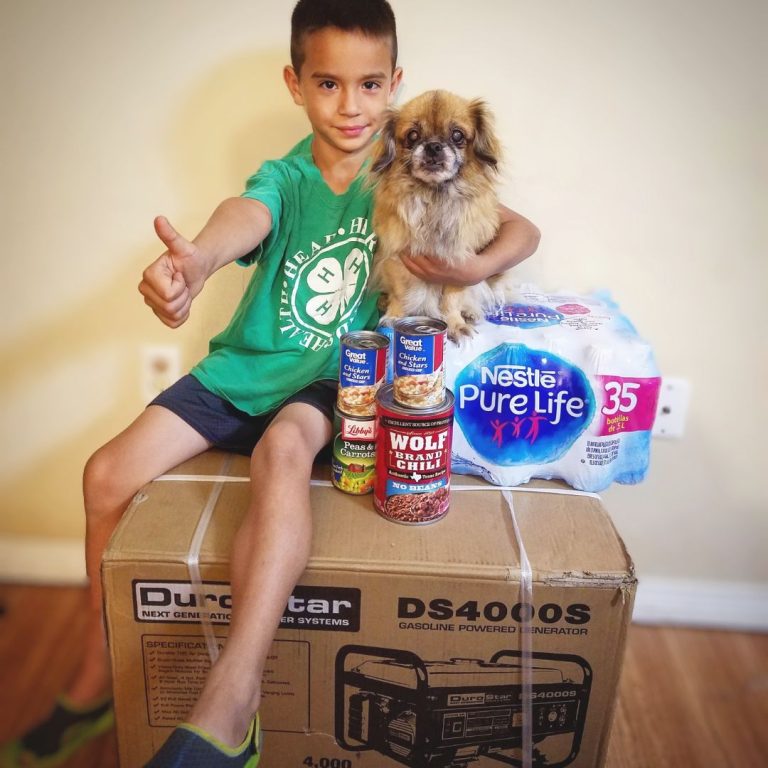 hurricane prepared, hurricane supplies for pets, crestview Fl,